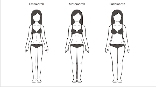 women-body-types